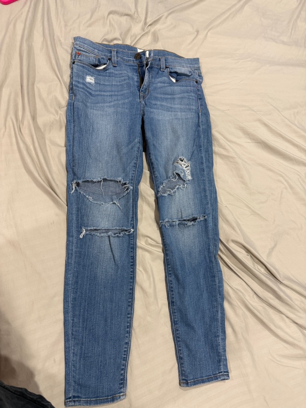 Hudson Jeans Women's Distressed Skinny Jeans in Light Blue